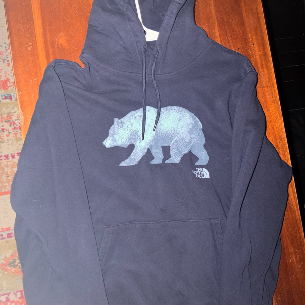 The North Face Men's Navy Hoodie with Bear Design
